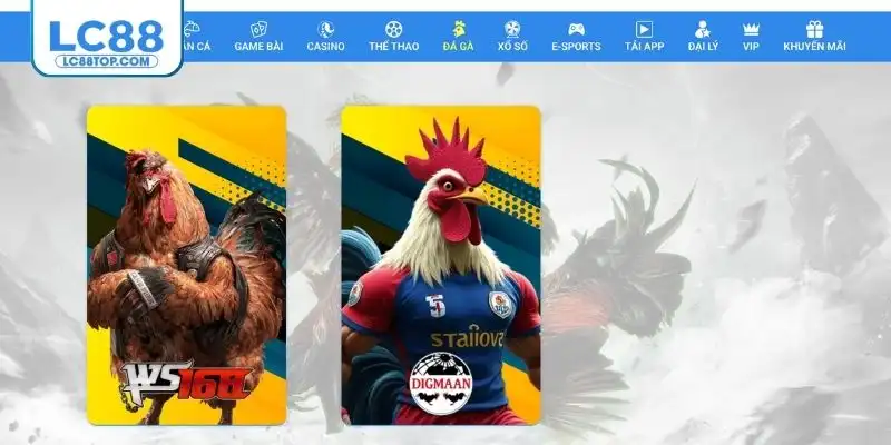 Thông tin cơ bản về 2 sảnh đá gà LC88