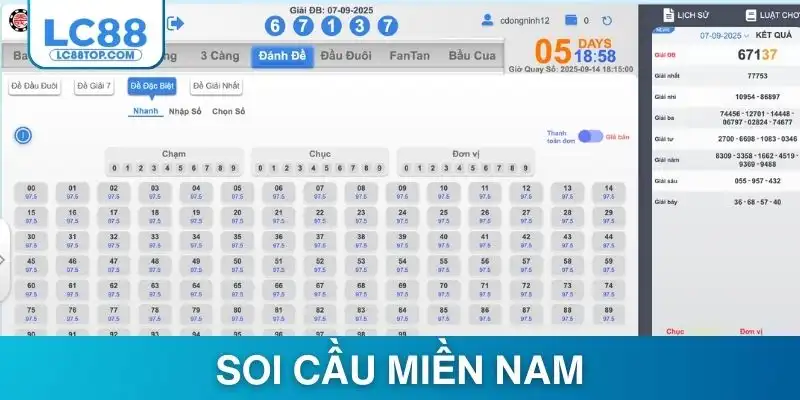 thumb-soi-cau-mien-nam