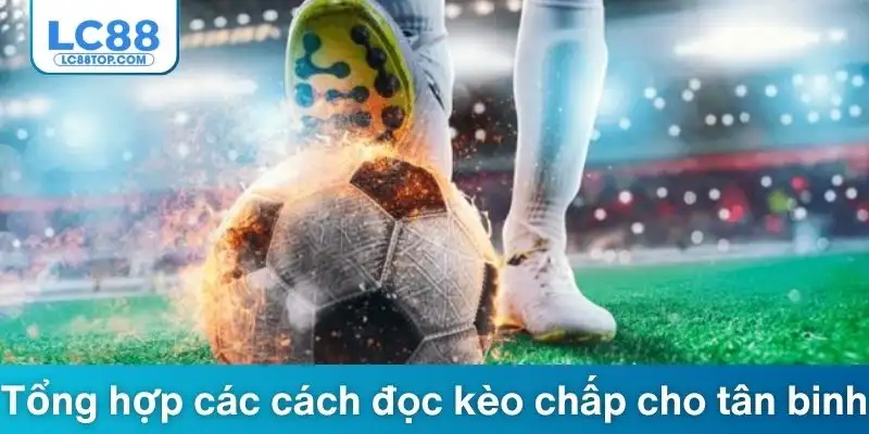 Tổng hợp các cách đọc kèo chấp cho tân binh